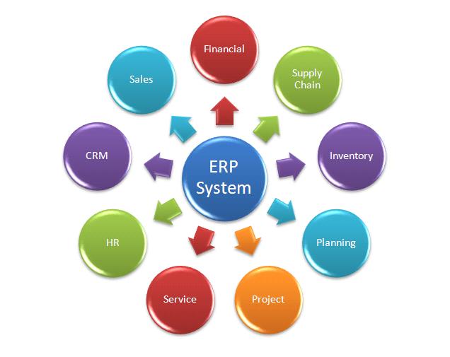 Access based ERP software