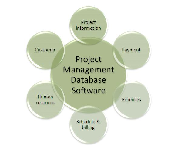 Access based Project Management software solution